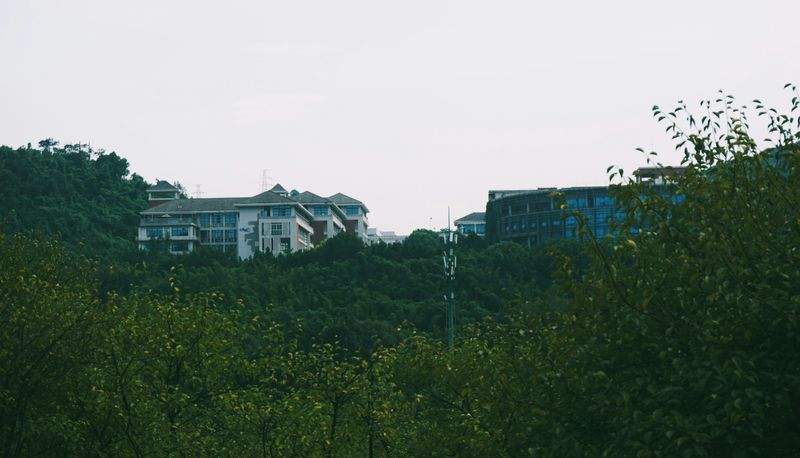 Southern Cross Academy - Image 5