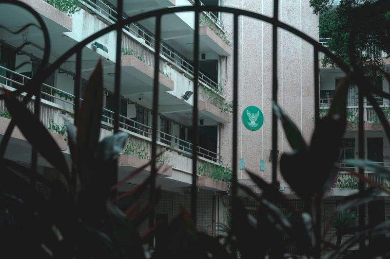 Southern Cross Academy - Image 8